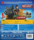 How to Train Your Dragon 2 3D + 2D