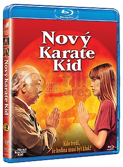 The  Next Karate Kid