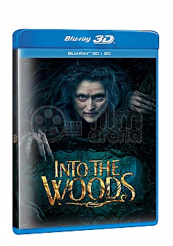 Into the Woods 3D + 2D