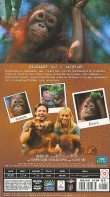 Orangutan Diary 1