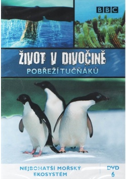 Wild South America: Penguin Shores