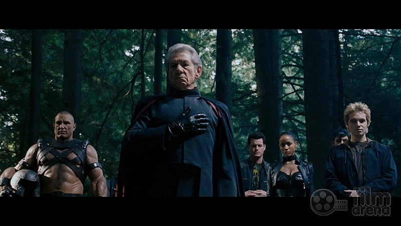 The Last Stand 2013 BluRay REMUX 1080p AVC DTS-HD MA 71