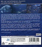 Aquarium 
