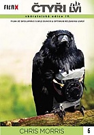 tyi lvi (Film X) (DVD)