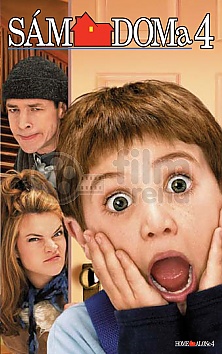 Home Alone 4