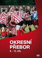 Okresn pebor 