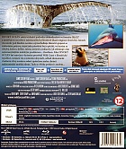 Wild Ocean 3D