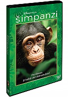 Chimpanzee (DVD)