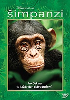 Chimpanzee