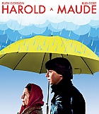 HAROLD a MAUDE