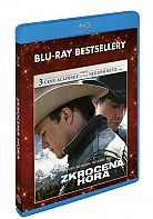ZKROCENÁ HORA (Blu-ray)
