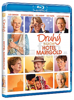The Second Best Exotic Marigold Hotel