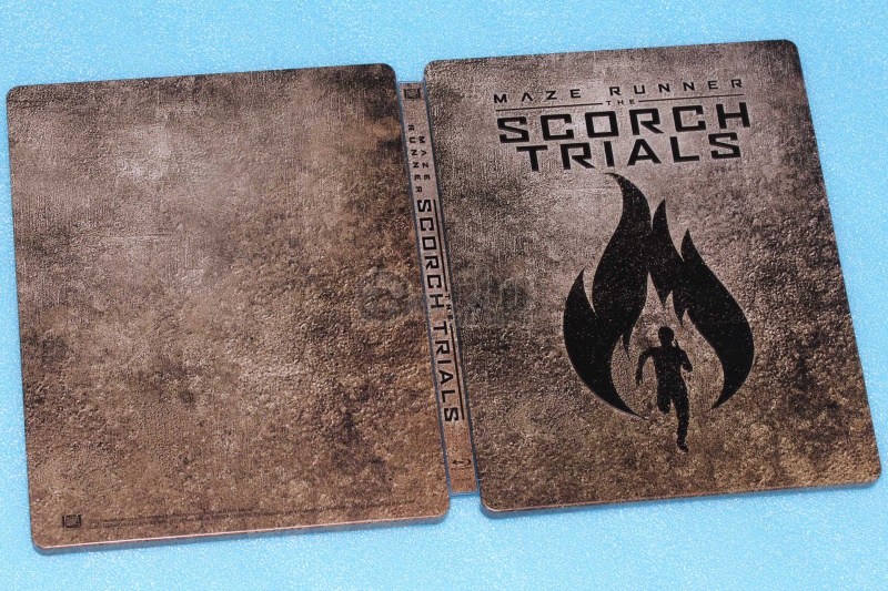  The Maze Runner and The Scorch Trials: The Collector's