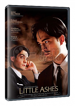 Little Ashes