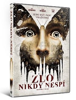 Before I Wake