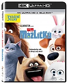 The Secret Life of Pets (4K Ultra HD + Blu-ray)