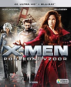 X-MEN: The Last Stand