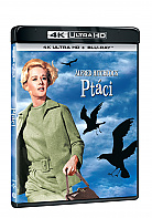 THE BIRDS (4K Ultra HD + Blu-ray)