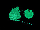 FAC #120 ALIEN Glow In The Dark FULLSLIP XL EDITION #3 4K Ultra HD Steelbook&trade; Limited Collector's Edition - numbered + Gift Steelbook's&trade; foil