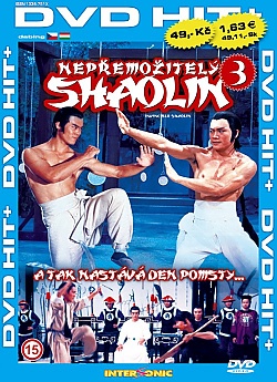 Invincible Shaolin