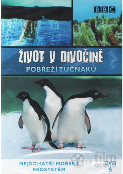 Wild South America: Penguin Shores (DVD)