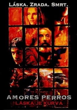 Amores perros
