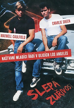 The Boys Next Door