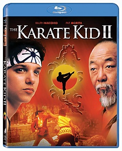 The Karate Kid 2