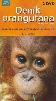 Orangutan Diary 2