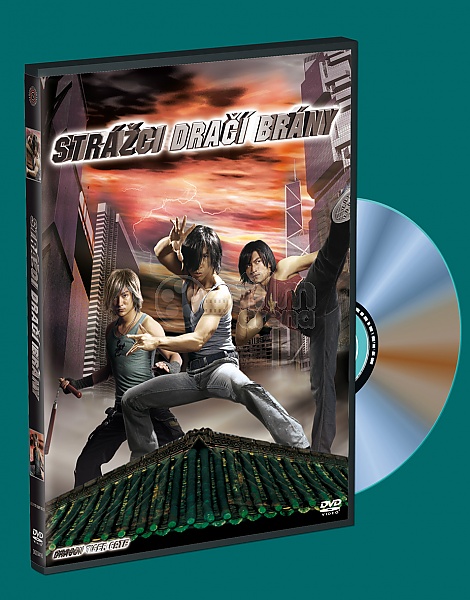DRAGON GATE DVD 2005〜2010 全33本セット DRAGON GATE DVD 2005〜2010 全33本セット
