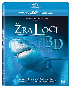 Sharks 3D