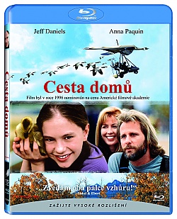 Fly Away Home