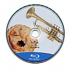 American Pie 2