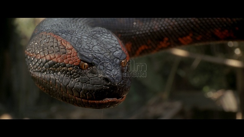 anaconda 2 movie free download anaconda 2 movie free download